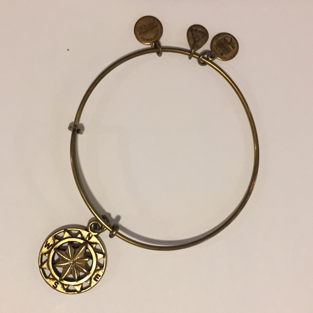 🦚  Alex and Ani Compass Charm Bracelet